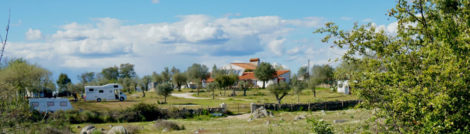DSC03420 (2)